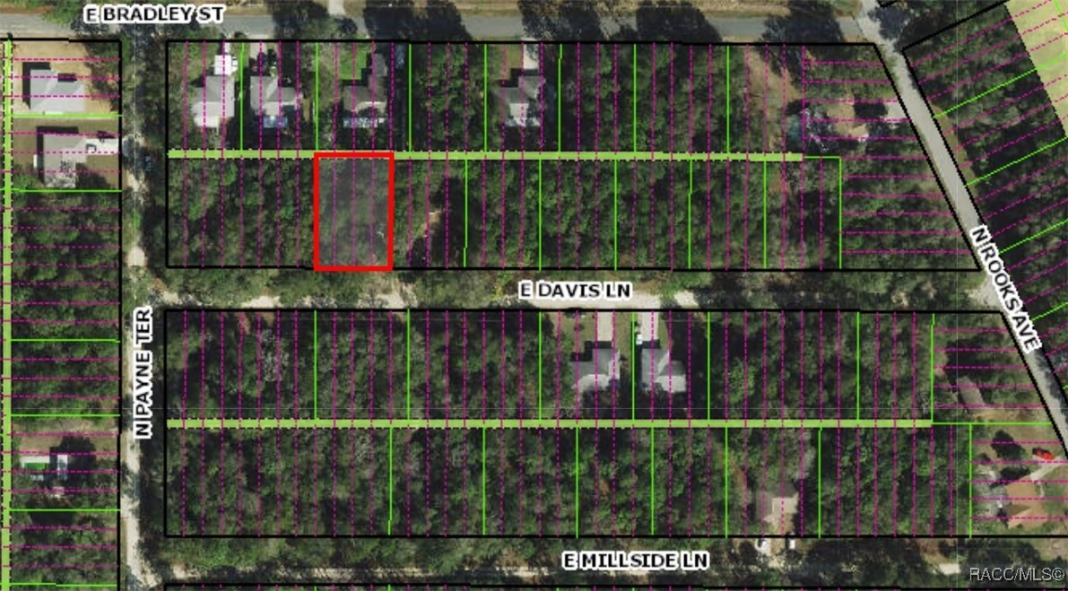 3157 E Davis Lane, Inverness, Florida image 3