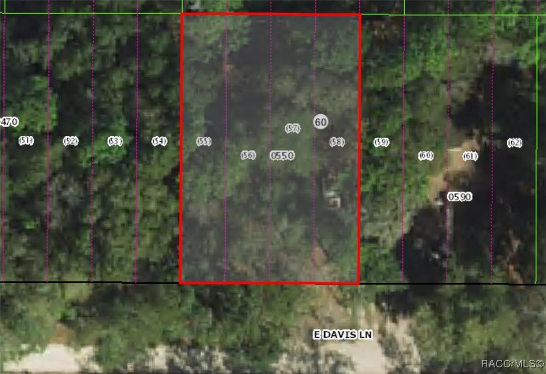 3157 E Davis Lane, Inverness, Florida image 2