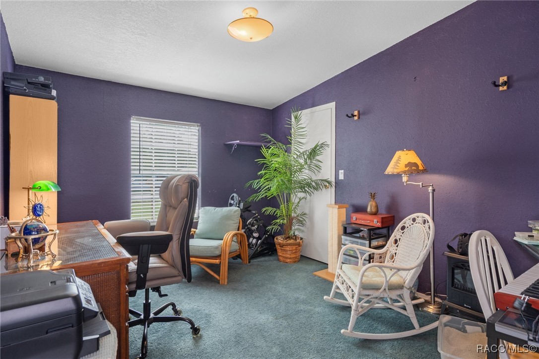 5315 W Cinnamon Ridge Drive, Lecanto, Florida image 34