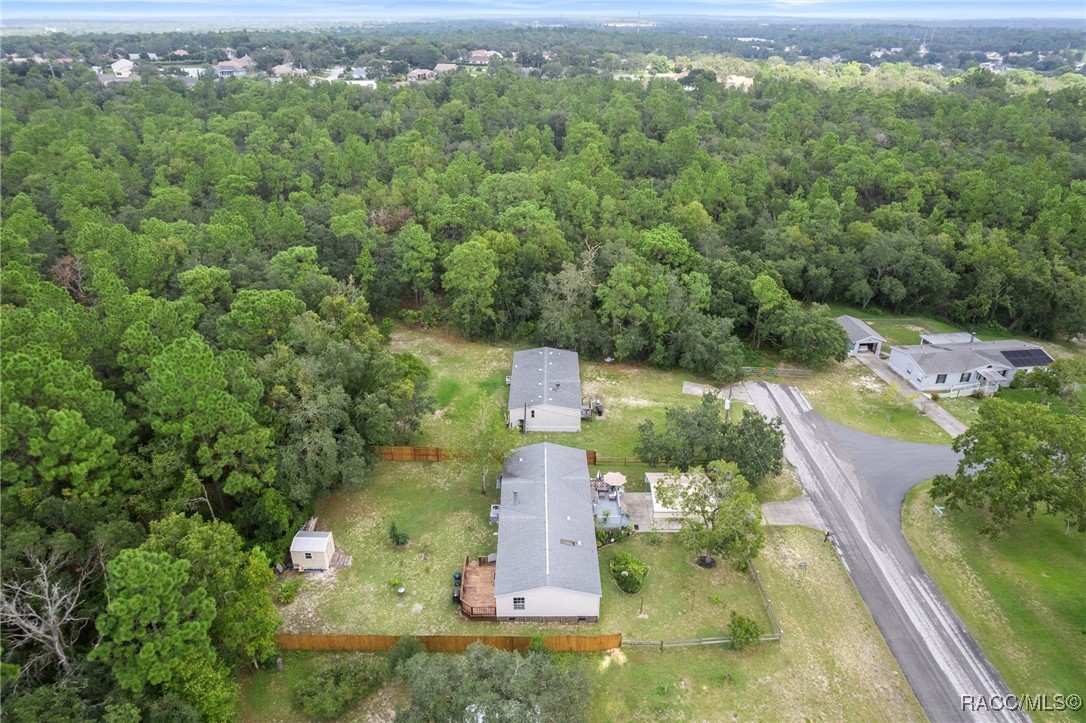 5315 W Cinnamon Ridge Drive, Lecanto, Florida image 6