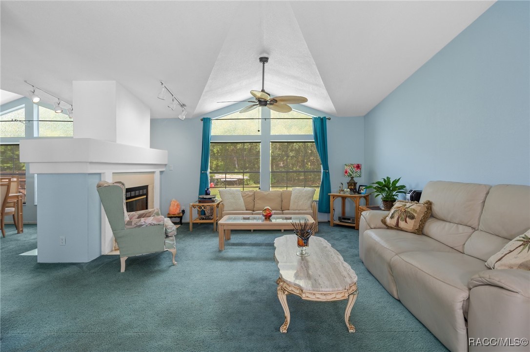 5315 W Cinnamon Ridge Drive, Lecanto, Florida image 15