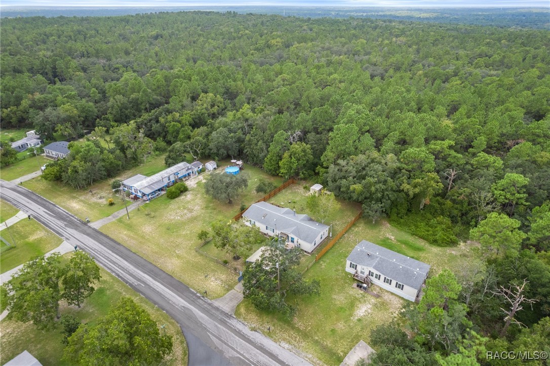 5315 W Cinnamon Ridge Drive, Lecanto, Florida image 10