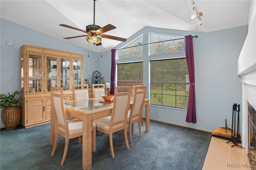 5315 W Cinnamon Ridge Drive, Lecanto, Florida image 24