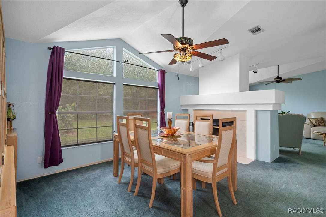 5315 W Cinnamon Ridge Drive, Lecanto, Florida image 25