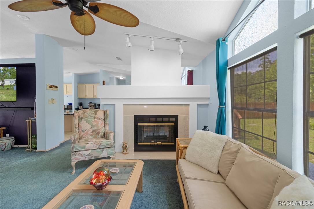 5315 W Cinnamon Ridge Drive, Lecanto, Florida image 19