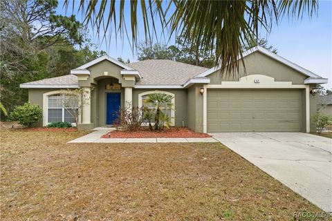 Homes For Sale - 57 Pine Drive<br/> Citrus County, Homosassa, FL 34446
