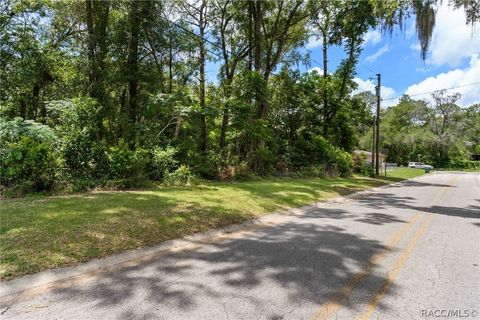 Vacant Land For Sale - 5942 E Banner Lane<br/> Inverness, FL 34452