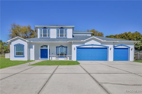 13496 S Oakview Avenue Floral City FL 34436