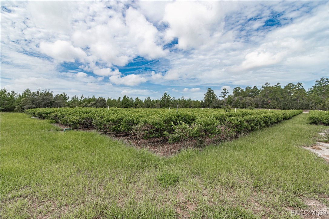 5728 W Dunklin Street #21, Dunnellon, Florida image 37