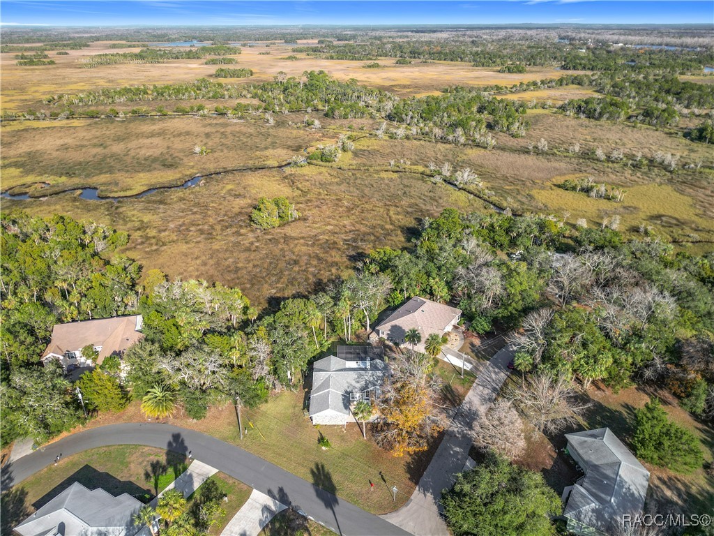 4601 S Gator Loop, Homosassa, Florida image 49
