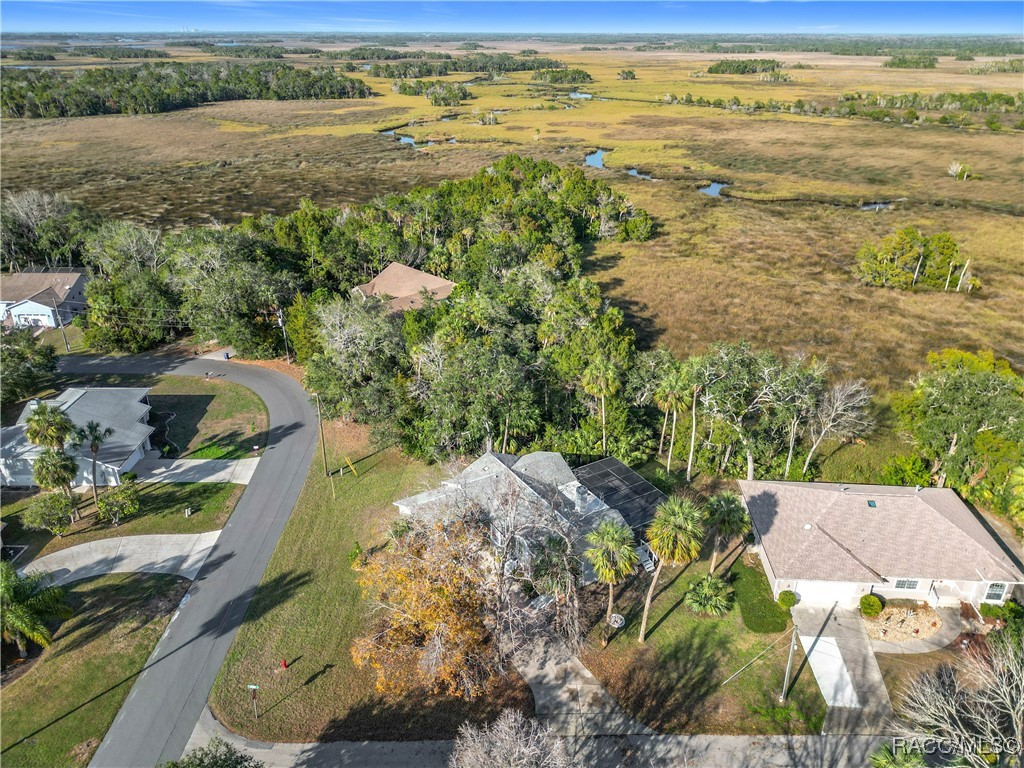 4601 S Gator Loop, Homosassa, Florida image 50