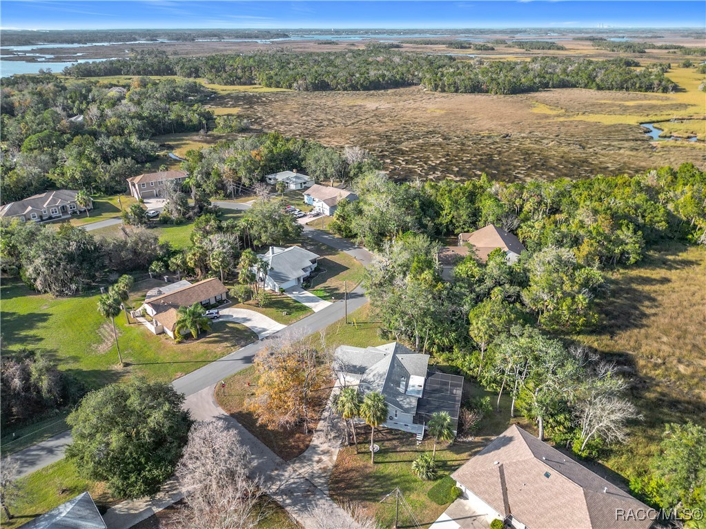 4601 S Gator Loop, Homosassa, Florida image 47