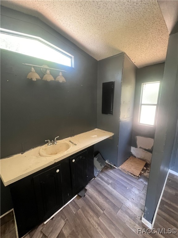 3229 S Anatole Way, Homosassa, Florida image 3
