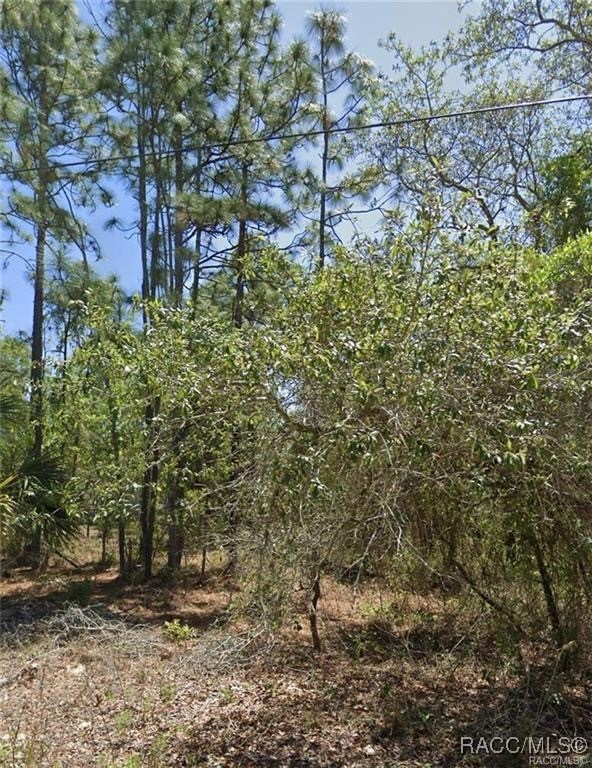 5250 W Starburst Lane, Homosassa, New York image 2
