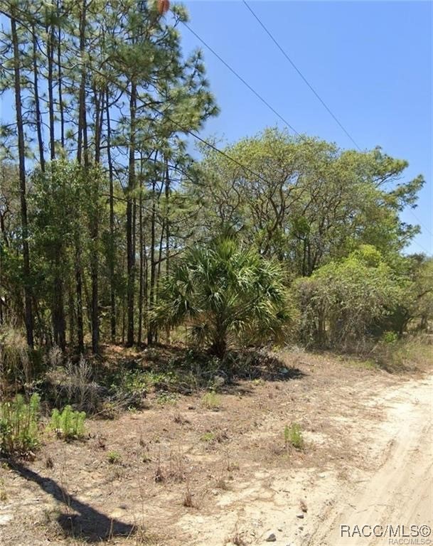 5250 W Starburst Lane, Homosassa, New York image 1