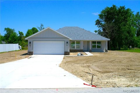 Homes For Sale - 133 Larch Road<br/> Ocala, FL 34480