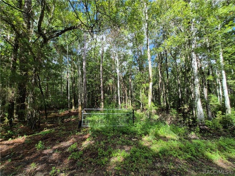 Vacant Land For Sale - 10622 S Le Baron Drive<br/> Citrus County, Homosassa, FL 34448