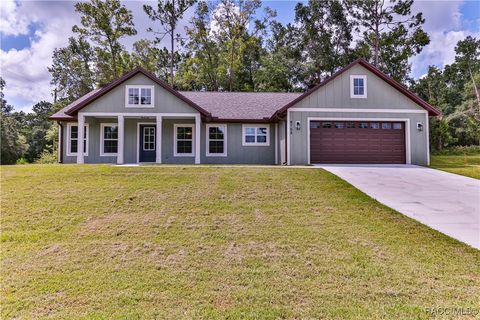 8758 N SALINA Drive Citrus Springs FL 34434