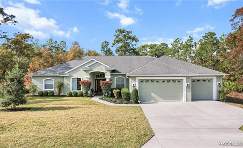 A home in Homosassa