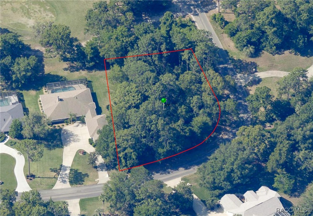 35 Seagrape Street, Homosassa, Florida image 13