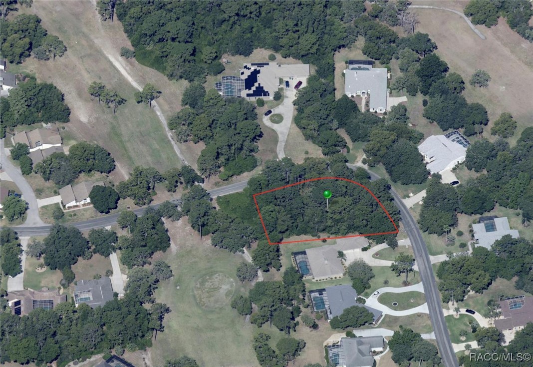 35 Seagrape Street, Homosassa, Florida image 11