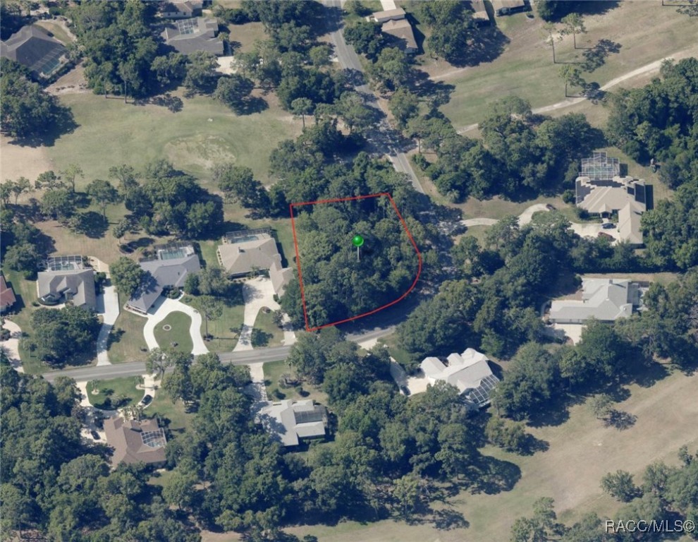 35 Seagrape Street, Homosassa, Florida image 12