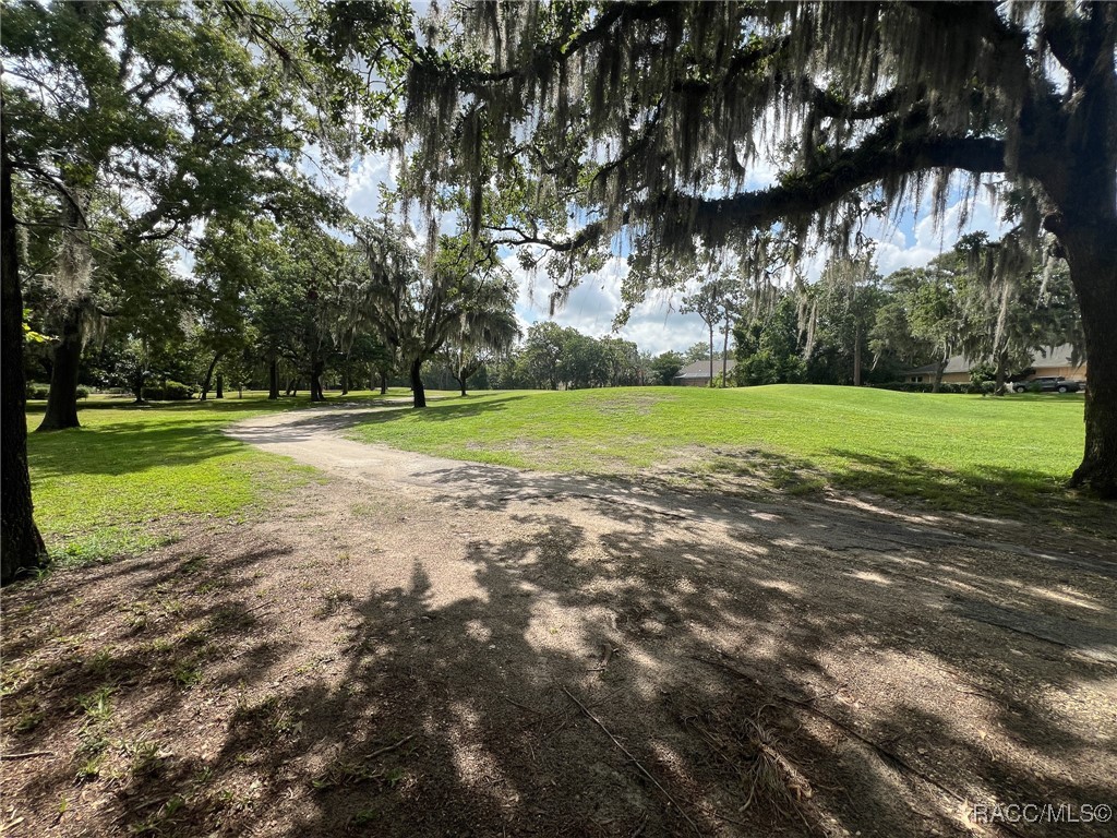 35 Seagrape Street, Homosassa, Florida image 15