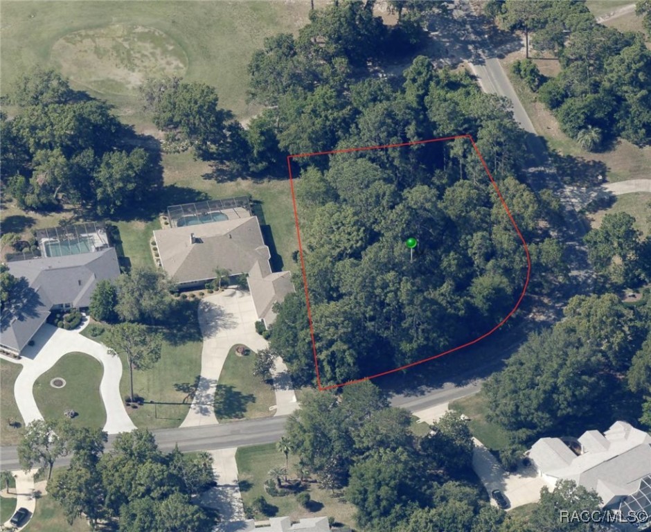 35 Seagrape Street, Homosassa, Florida image 5