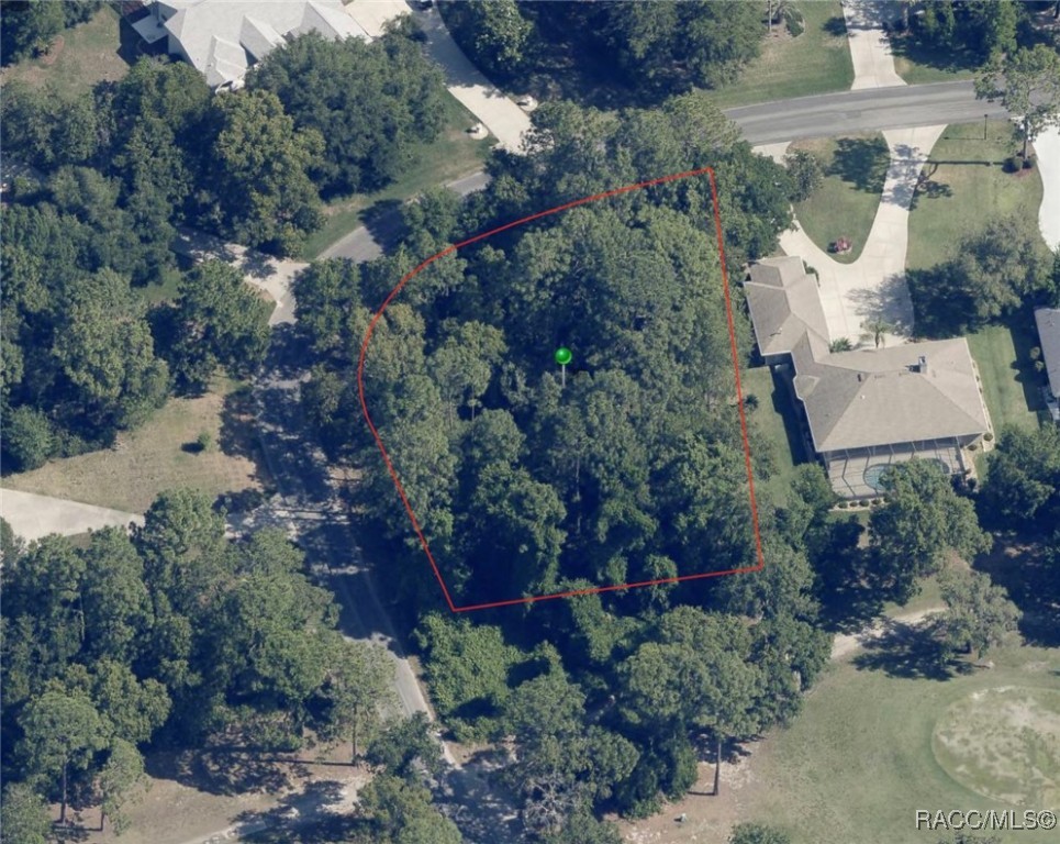 35 Seagrape Street, Homosassa, Florida image 10