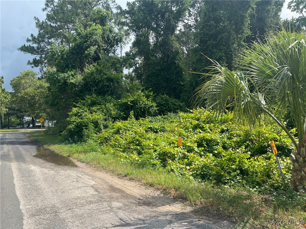 35 Seagrape Street, Homosassa, Florida image 9
