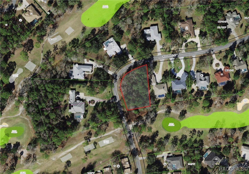 35 Seagrape Street, Homosassa, Florida image 2