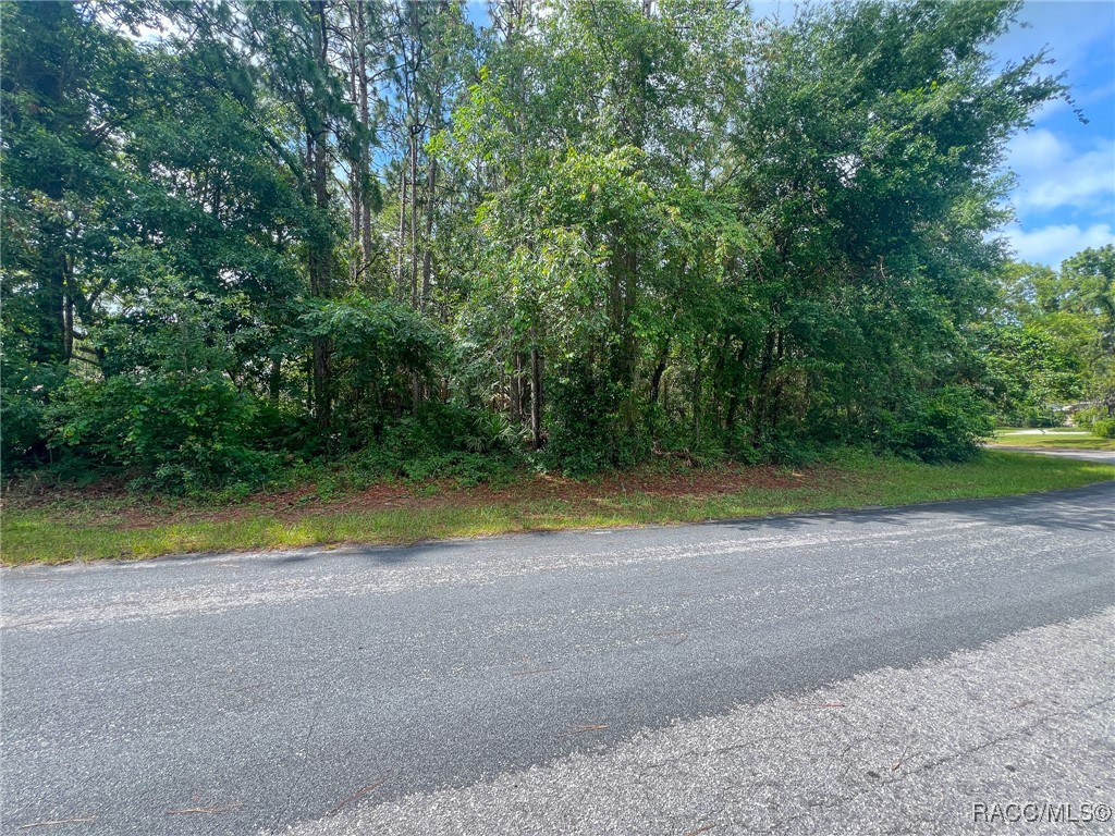 35 Seagrape Street, Homosassa, Florida image 3