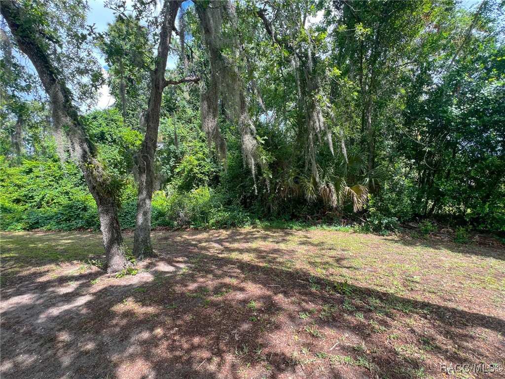 35 Seagrape Street, Homosassa, Florida image 14