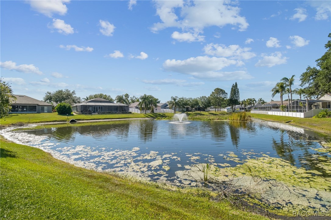 22431 Willow Lakes Drive, Lutz, New York image 47