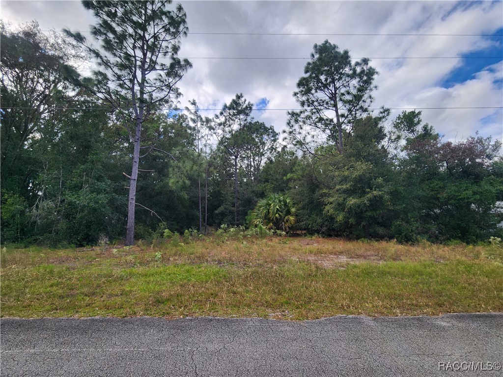 8630 N Catapane Loop, Crystal River, Florida image 3