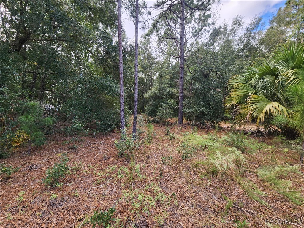 8630 N Catapane Loop, Crystal River, Florida image 9