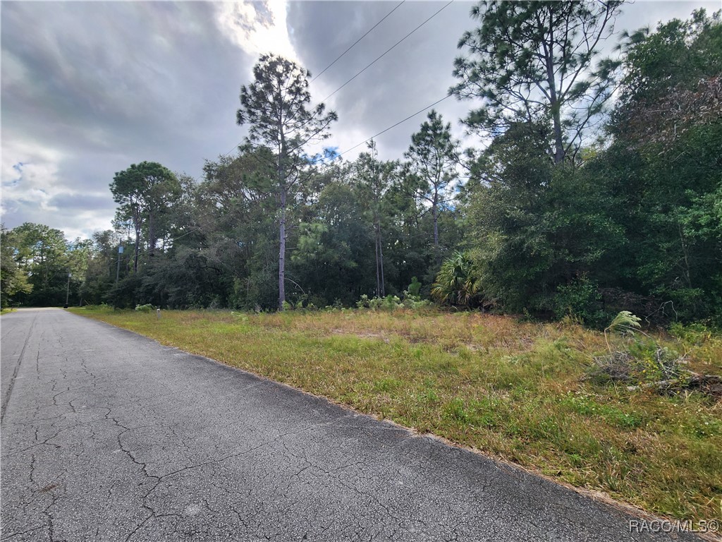 8630 N Catapane Loop, Crystal River, Florida image 4