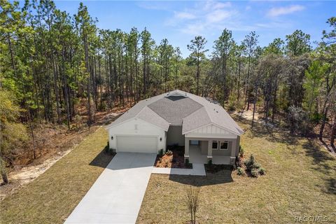 3618 W Birds Nest Drive Beverly Hills FL 34465