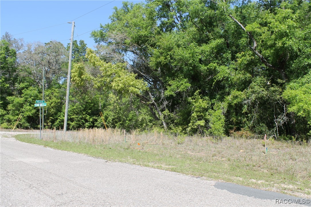 11205 N Vesta Point, Citrus Springs, Florida image 3