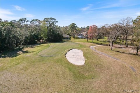 A home in Homosassa