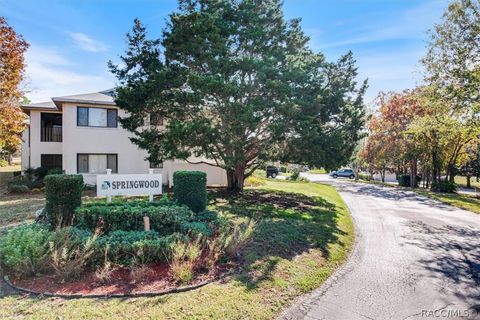 A home in Homosassa