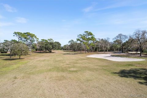 A home in Homosassa