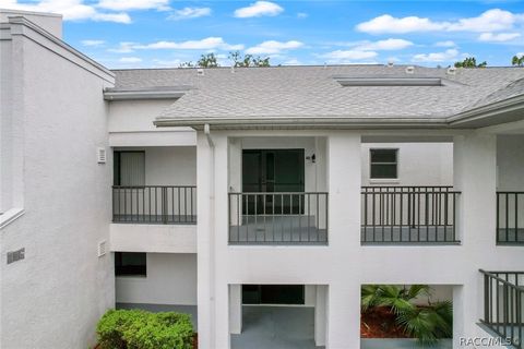 A home in Homosassa