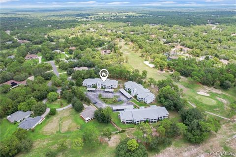 A home in Homosassa