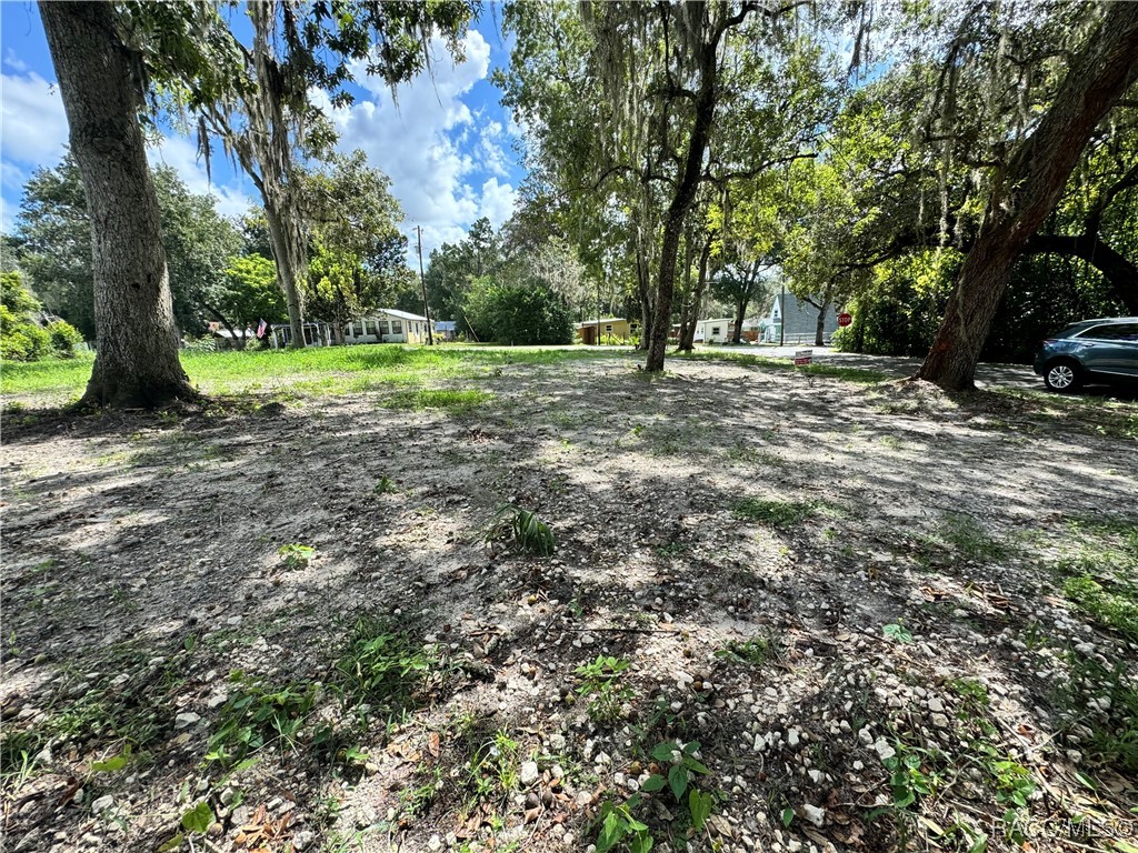 4864 S Whitetail Terrace, Floral City, Florida image 2