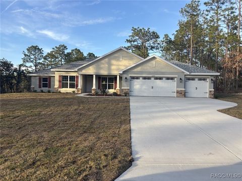 6325 W Rio Grande Lane Beverly Hills FL 34465