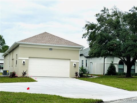 A home in Homosassa