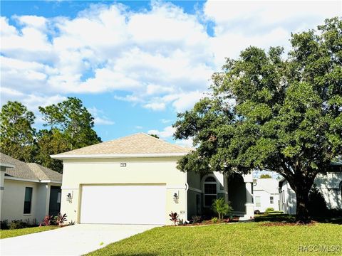 A home in Homosassa