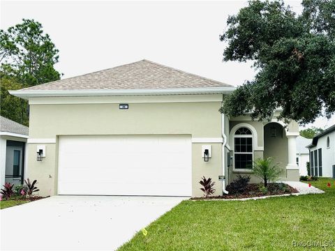 A home in Homosassa