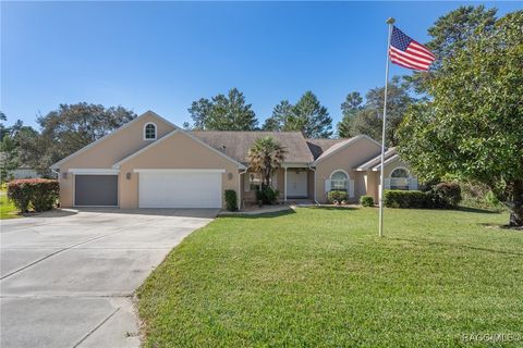 A home in Homosassa